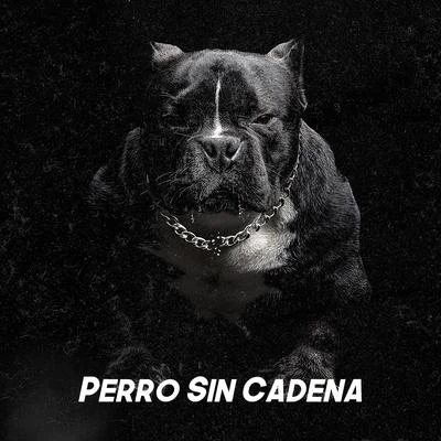 REMIK GONZALEZ Perro Sin Cadena