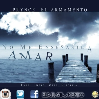 Prynce El Armamento No Me Ensenastes A Amar - Single