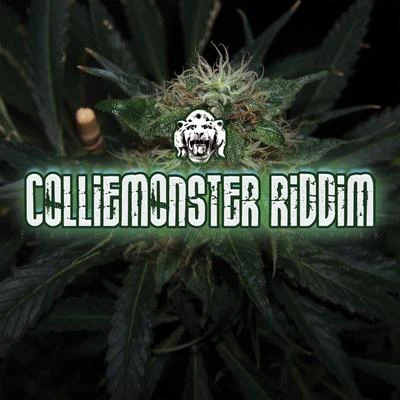 Pharfar Colliemonster Riddim