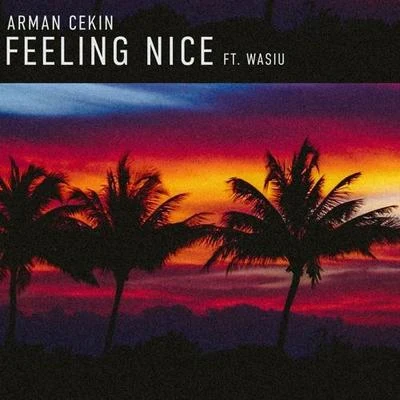 Arman Cekin Feeling Nice