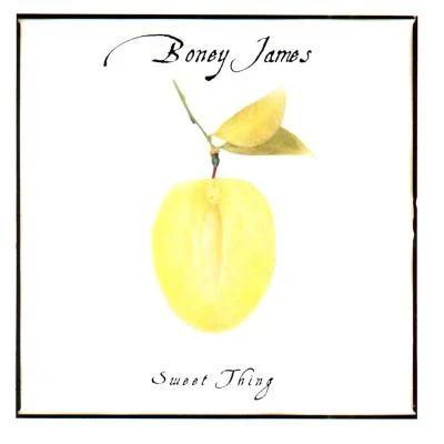 Boney James Sweet Thing