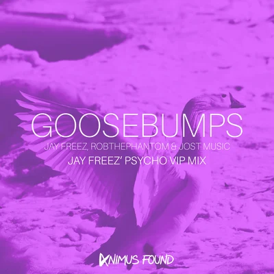 Jay Freez/RobThePhantom/Jost Music Goosebumps (Jay Freez Psycho VIP Mix)