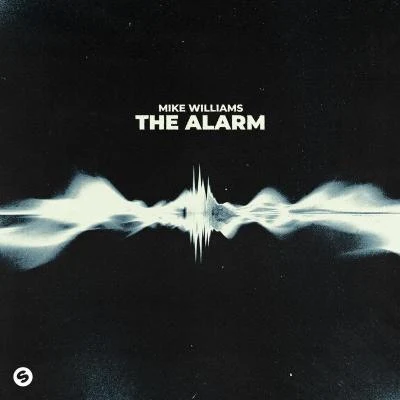 Mike Williams The Alarm