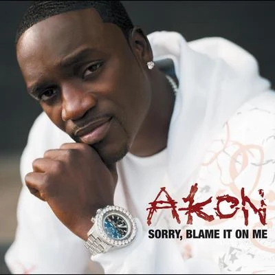 Akon Sorry, Blame It On Me