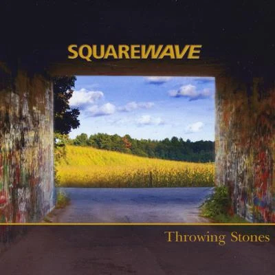 Squarewave Throwing Stones