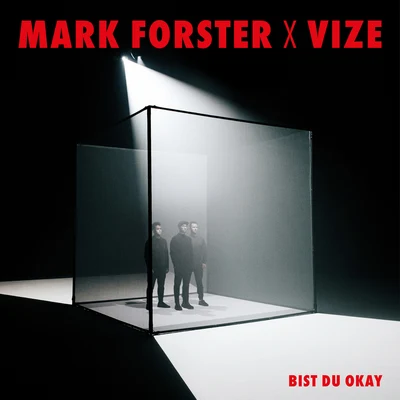 VIZE/Mark Forster Bist du Okay