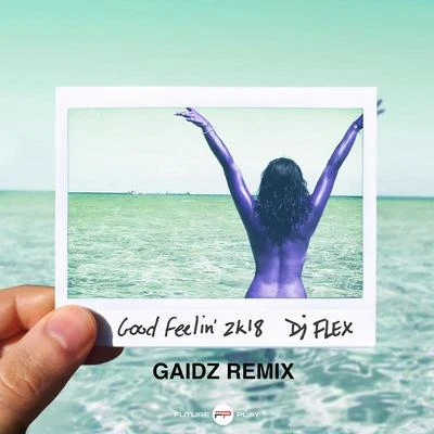 DJ Flex Good Feelin 2k18 (Gaidz Remix)