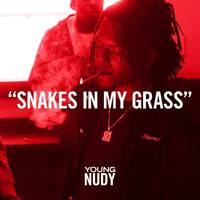 Young Nudy Snakes In My Grass