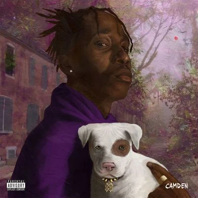 Mir Fontane Camden