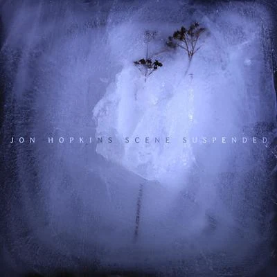 Jon Hopkins Scene Suspended