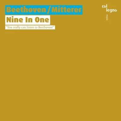 Wolfgang Mitterer BeethovenMitterer: Nine In One