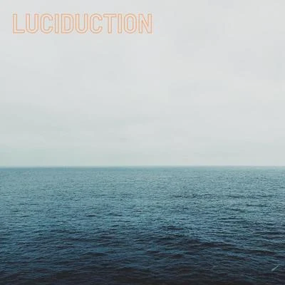 Vivek Luciduction