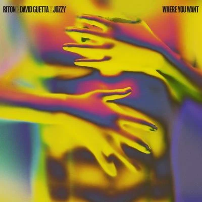 Jozzy/Riton/David Guetta Where You Want