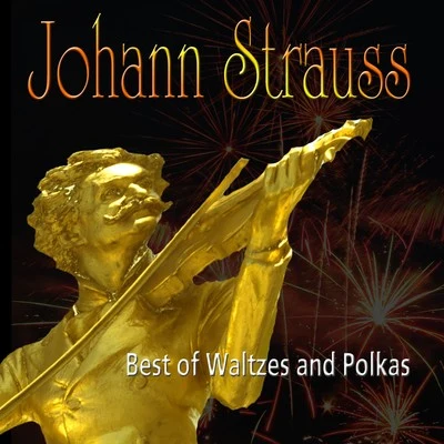 Orchester Der Wiener Volksoper Walzer - Best of Waltzes and Polkas