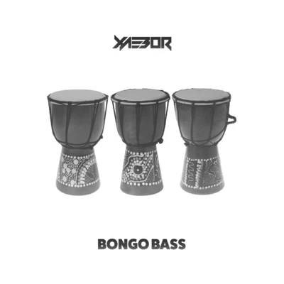 XaeboR Bongo Bass