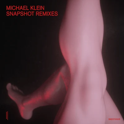 Michael Klein Snapshot - Remixes