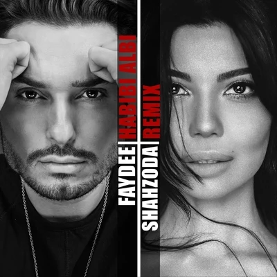 Faydee/Shahzoda Habibi Albi (Remix)