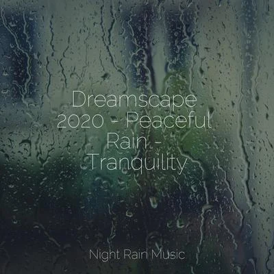 The Relaxing Sounds of Swedish Nature/Relaxing Music/Study Power Dreamscape 2020 - Peaceful Rain - Tranquility