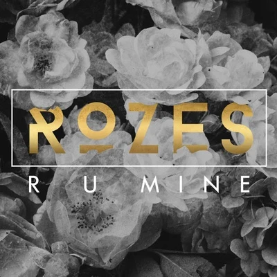 ROZES R U Mine