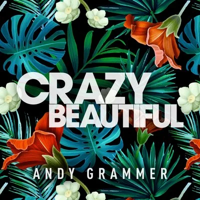 Andy Grammer Crazy Beautiful EP (Single)