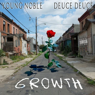 Young Noble/Deuce Deuce Growth