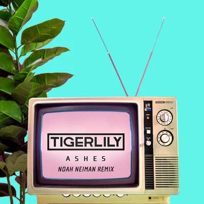 Noah Neiman/tigerlily Ashes (Noah Neiman Remix)