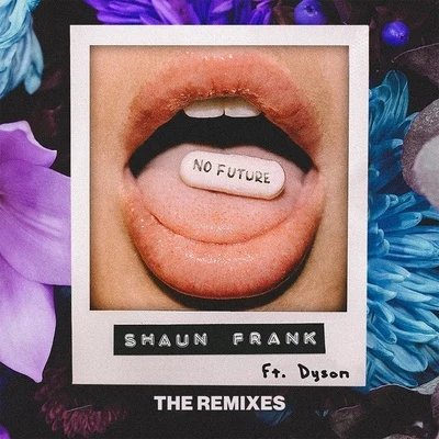 Shaun Frank No Future (The Remixes)