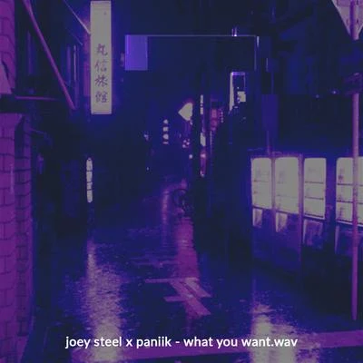 Joey Steel What you want