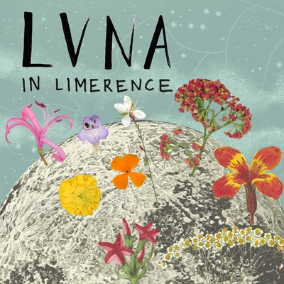 LVNA In Limerence