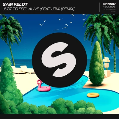 JRM/Sam Feldt Just To Feel Alive (Remix)