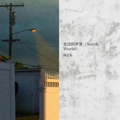 杨子为 北边的世界（North World）