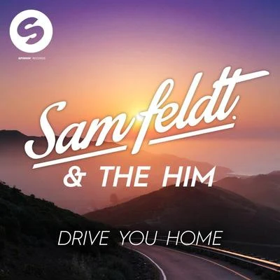 Sam Feldt Drive You Home