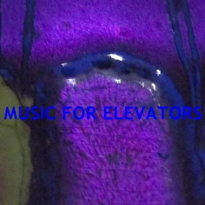 Robert Williams Music For Elevators