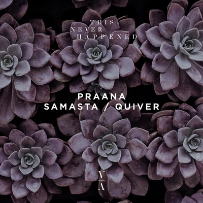 Praana SamastaQuiver