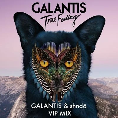 Galantis True Feeling (Galantis & shndō VIP Mix)