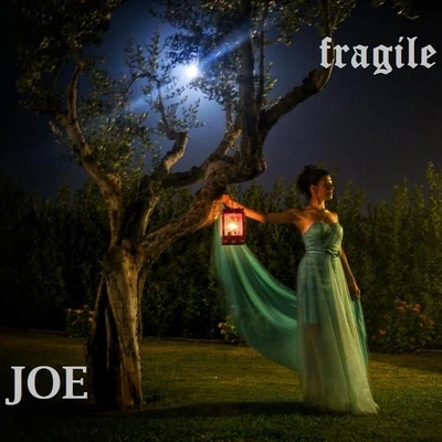 JOe (支十六) Fragile