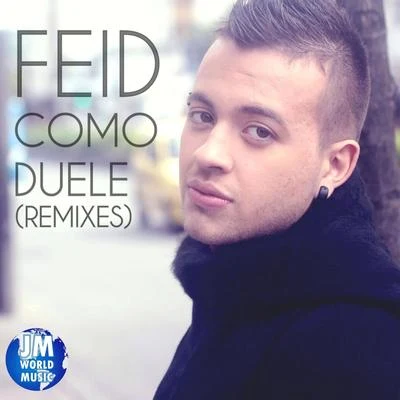 Feid Como Duele (Remixes)