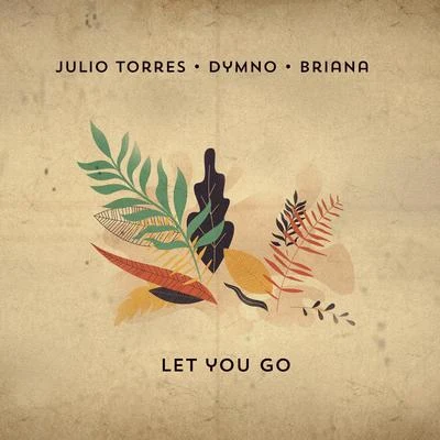 Briana/Julio Torres/Dymno Let You Go (Extended)