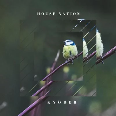 Knober House Nation