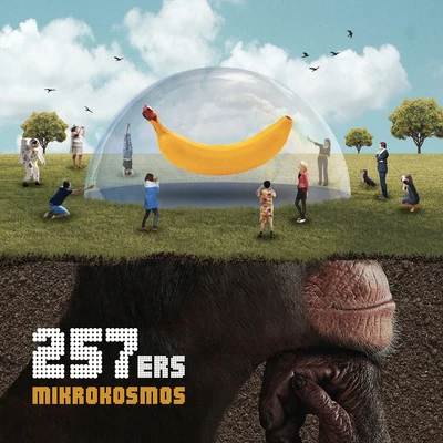 257ers Mikrokosmos