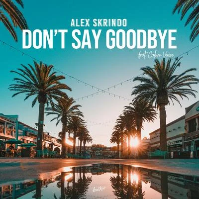 Calum Venice/Alex Skrindo Don't Say Goodbye