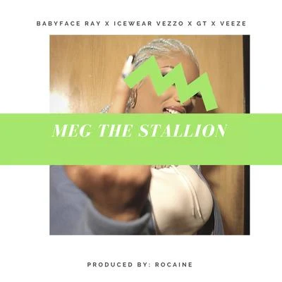 Icewear Vezzo/Babyface Ray/Veeze Meg The Stallion (feat. GT)