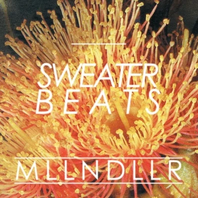 Sweater Beats Mlln Dllr