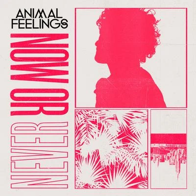 Animal Feelings Now or Never