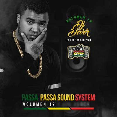 DJ Dever Passa Passa Sound System, Vol. 12 (El Que Todo lo Pega)