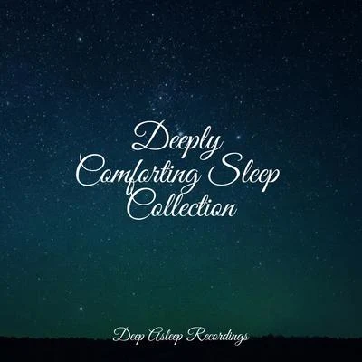 Yoga Soul/Zen Meditate/Healing Sounds for Deep Sleep and Relaxation Deeply Comforting Sleep Collection