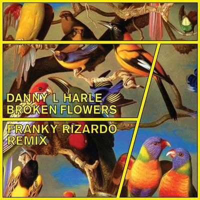 Danny L Harle Broken Flowers (Franky Rizardo Remix)