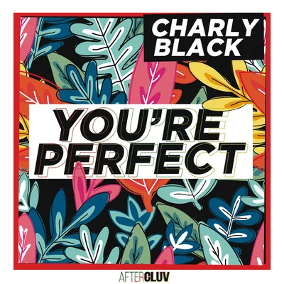 Charly Black Youre Perfect