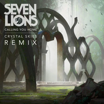 Seven Lions Calling You Home (Crystal Skies Remix)