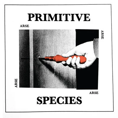 Arse Primitive Species